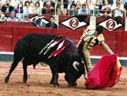 bull fighting mijas