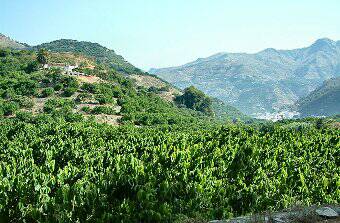 Jete in the valley of Torrentera